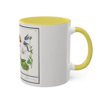 Natural History Ensemble, No. 17 by Anselmus Boëtius de Boodt Colorful Mugs, 11oz