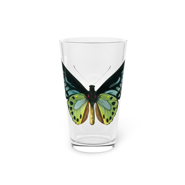 Green Birdwing by Charles Dessalines D' Orbigny Glass, 16oz