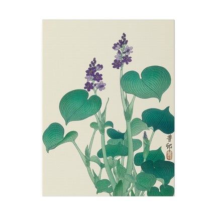 Blooming Hosta by Ohara Koson – Japanese Botanical Elegance