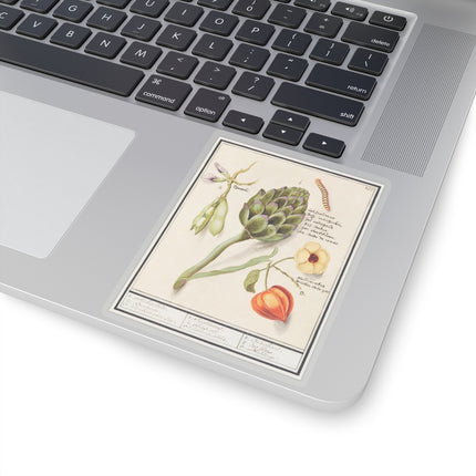 Artichoke, Cynara scolymus, broad beans, Vicia faba and lampion plant, Physalis by Anselmus Boëtius de Boodt Kiss-Cut Stickers (4 Sizes)