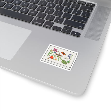 Natural History Ensemble, No. 17 by Anselmus Boëtius de Boodt Kiss-Cut Stickers (4 Sizes)