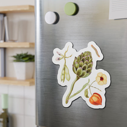 Artichoke, Broad Beans, and Lantern Plant by Anselmus Boëtius de Boodt Die-Cut Magnets (5 Sizes)