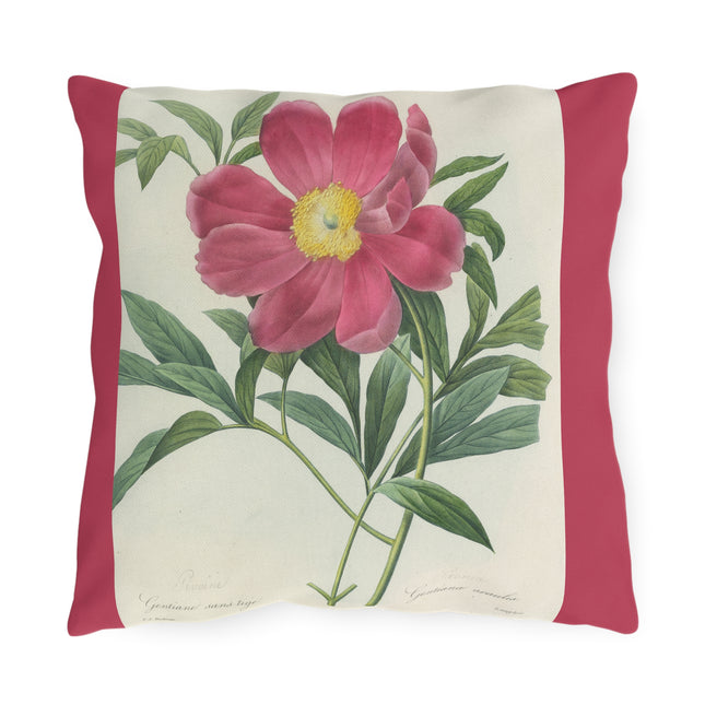 Choix des plus belles fleurs, Plate 075 by Pierre Joseph Redouté Outdoor Pillows