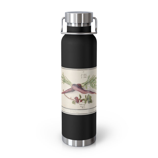 Carrot, Daucus carota and red currant, Ribes rubrum by Anselmus Boëtius de Boodt Copper Vacuum Insulated Bottle, 22oz
