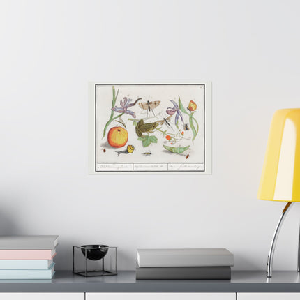 Natural History Ensemble, No. 12 by Anselmus Boëtius de Boodt Matte Horizontal Posters