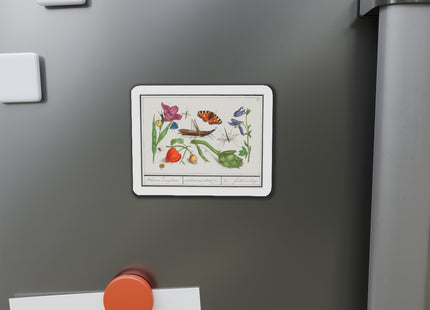 Natural History Ensemble, No. 17 Die-Cut Magnets (5 Sizes)