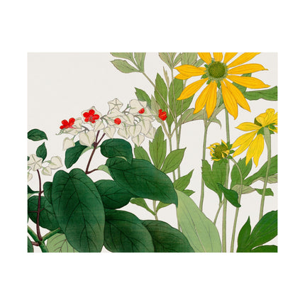 Clerodendrum & Rudbeckia by Tanigami Kônan Premium Matte Horizontal Posters