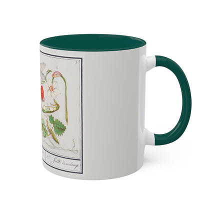 Natural History Ensemble, No. 7 by Anselmus Boëtius de Boodt Colorful Mugs, 11oz
