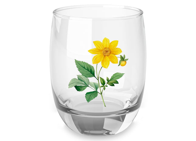 Dahlia Botanical Illustration by Pierre-Joseph Redouté Whiskey Glass