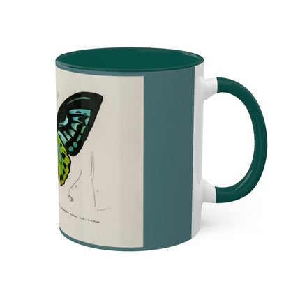 Green Birdwing by Charles Dessalines D' Orbigny Colorful Mugs, 11oz