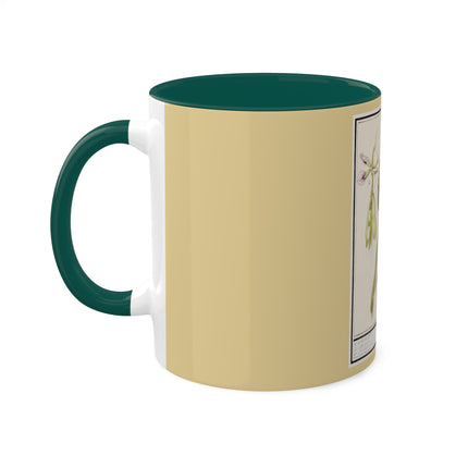 Artichoke, Broad Beans, and Lantern Plant by Anselmus Boëtius de Boodt Colorful Mugs, 11oz