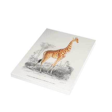 Giraffe by Charles Dessalines D'Orbigny Postcards (envelopes included) - Bundles of 10, 30, 50 Pieces