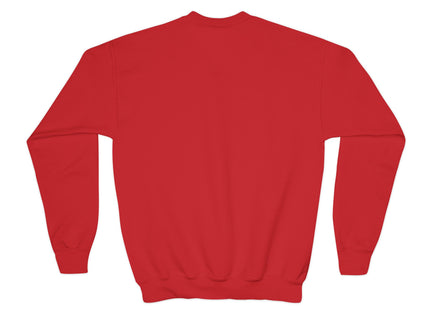 Fairy on a Dragonfly Youth Crewneck Sweatshirt