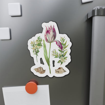 Tulip, Branches of Myrtle, and Shells by Maria Sibylla Merian Die-Cut Magnets (5 Sizes)