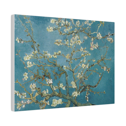 Almond Blossom by Vincent van Gogh Matte Canvas, Stretched, 0.75"