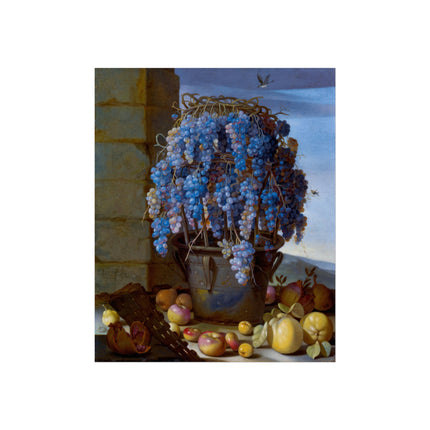 Still Life with Grapes and Other Fruit by Luca Forte Fine Art Posters