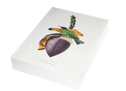Treecreeper by Paul Gervais Postcards (envelopes included) - Bundles of 10, 30, 50 Pieces