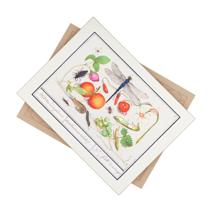 Natural History Ensemble, No. 7 Ceramic Tile