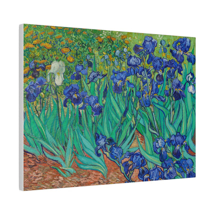 Irises by Vincent Van Gogh Matte Canvas, Stretched, 0.75"