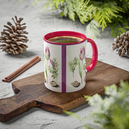 Tulip, Branches of Myrtle and Shells by Maria Sibylla Merian Colorful Mugs, 11oz