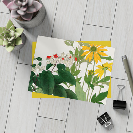 Clerodendrum & Rudbeckia by Tanigami Kônan Postcards (envelopes included) - Bundles of 10, 30, 50 Pieces