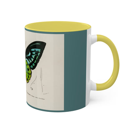 Green Birdwing by Charles Dessalines D' Orbigny Colorful Mugs, 11oz