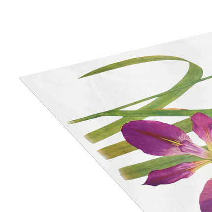 Iris Fulva & Iris Fulvala: Botanical Elegance from The Genus Iris Postcards (envelopes included) - Bundles of 10, 30, 50 Pieces