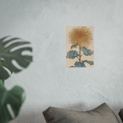 Chrysanthemum Harmony Fine Art Poster
