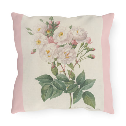 Rosa Noisettiana by Pierre Joseph Redouté  Outdoor Pillows