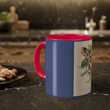 Versicolored Barbet by Paul Gervais Colorful Mugs, 11oz