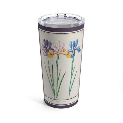 Iris, Iris sibirica by Anselmus Boëtius de Boodt Tumbler 20oz