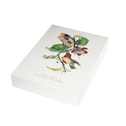 Versicolored Barbet by Paul Gervais Postcards (envelopes included) - Bundles of 10, 30, 50 Pieces