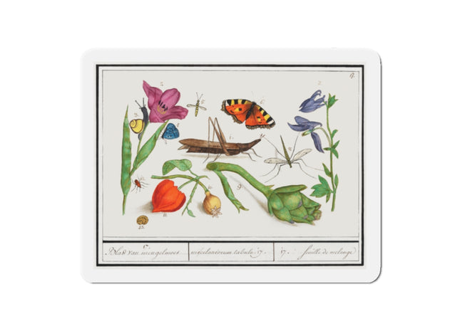 Natural History Ensemble, No. 17 Die-Cut Magnets (5 Sizes)