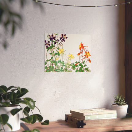 Aquilegia Flower by Tanigami Kônan Premium Matte horizontal posters