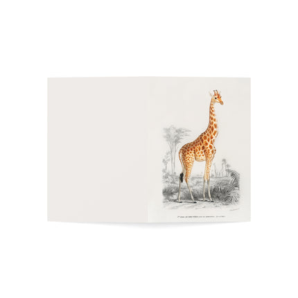 Giraffe by Charles Dessalines D' Orbigny Greeting Cards (1, 10, 30, and 50pcs)