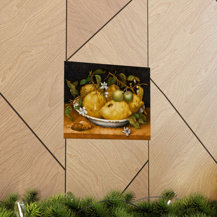 Still Life with Bowl of Citrons by Giovanna Garzoni Matte Horizontal Posters