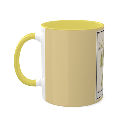Artichoke, Broad Beans, and Lantern Plant by Anselmus Boëtius de Boodt Colorful Mugs, 11oz