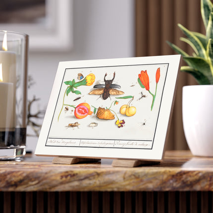Natural History Ensemble, No. 1 Ceramic Tile