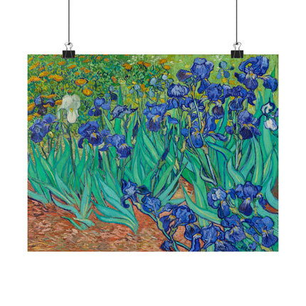 Irises by Vincent Van Gogh Matte Horizontal Posters