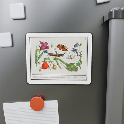 Natural History Ensemble, No. 17 Die-Cut Magnets (5 Sizes)