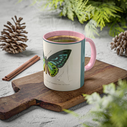 Green Birdwing by Charles Dessalines D' Orbigny Colorful Mugs, 11oz