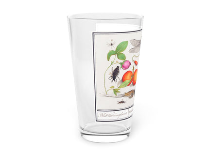Natural History Ensemble, No. 7 by Anselmus Boëtius de Boodt Glass, 16oz