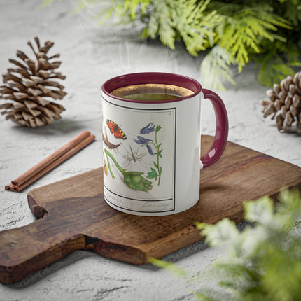 Natural History Ensemble, No. 17 by Anselmus Boëtius de Boodt Colorful Mugs, 11oz