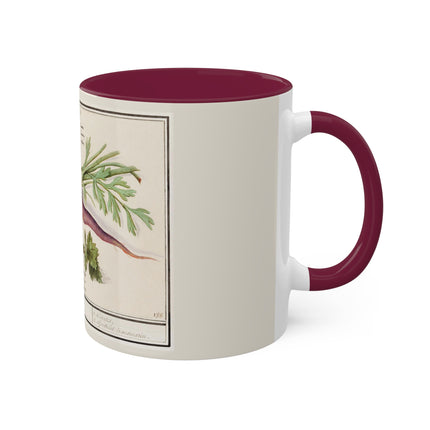 Carrot, Daucus Carota and Red currant, Ribes rubrum by Anselmus Boëtius de Boodt Colorful Mugs, 11oz