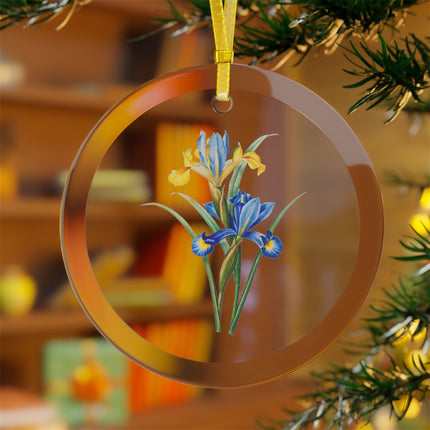 Spanish Iris botanical illustration by Pierre-Joseph Redouté Glass Ornament