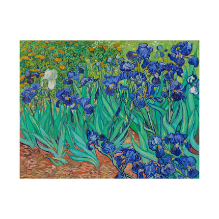Irises by Vincent Van Gogh Matte Horizontal Posters