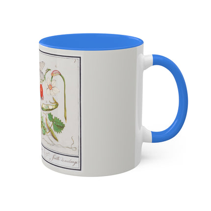Natural History Ensemble, No. 7 by Anselmus Boëtius de Boodt Colorful Mugs, 11oz