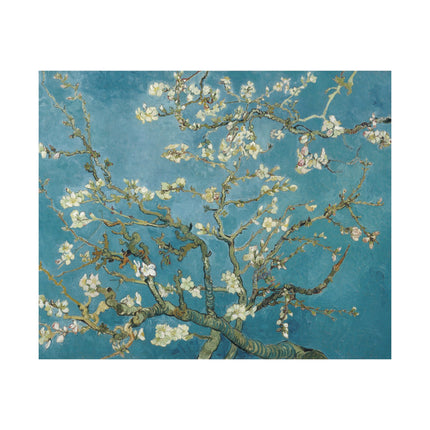 Almond Blossom by Vincent van Gogh Matte Horizontal Posters