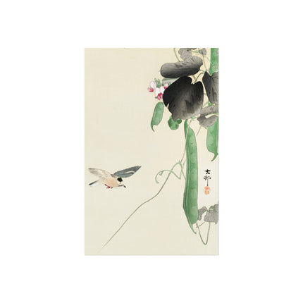 Bird at Flowering Bean Plant by Ohara Koson Fine Art Posters