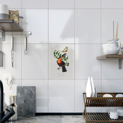 Channel Billed Toucan by Paul Gervais Ceramic Tile